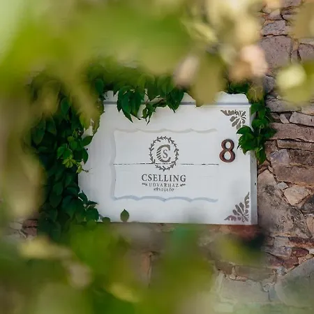 Maison d'hôtes Cselling Udvarhaz