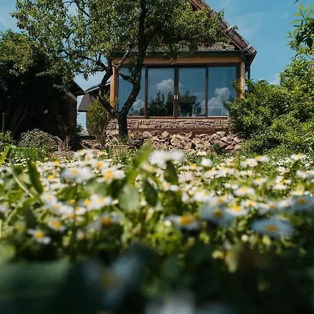 Cselling Udvarhaz רבפולופ