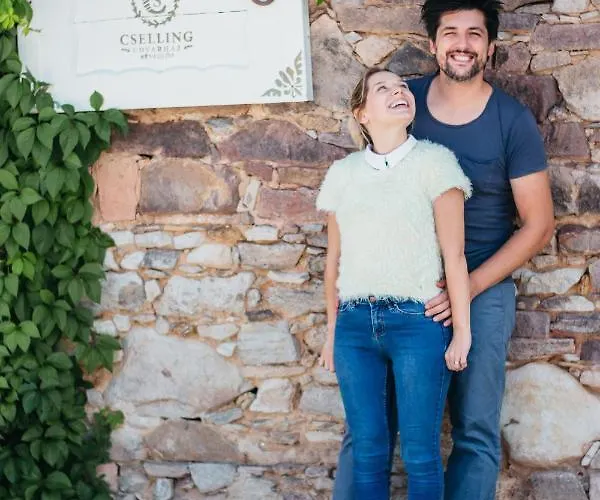 Cselling Udvarhaz Gæstehus 3*