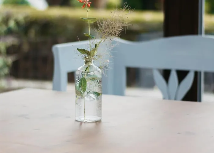 Gasthof Cselling Udvarhaz 3*