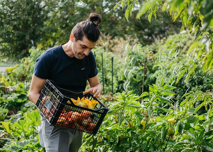 Cselling Udvarhaz Gæstehus Révfülöp