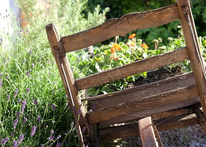 Gæstehus Cselling Udvarhaz