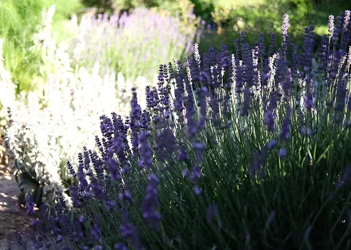 Cselling Udvarhaz Gasthof 3*