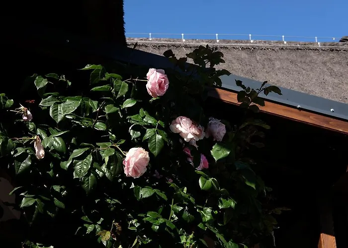 Cselling Udvarhaz Révfülöp